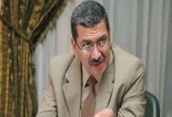 "الولي" عن زيادة الأجور والمعاشات: مجرد مسكنات