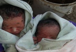 العثور على توءم حديثي الولادة وسط المقابر بأسوان