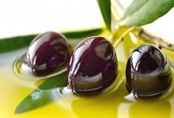 زيت الزيتون يقوي الذاكرة ويحمي من الزهايمر