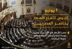 إنفوجراف: 21 سلعة رفع سعرها برلمان السيسي بداية من يوليو