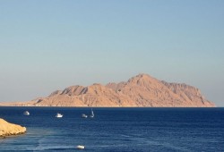 صحيفة إماراتية: الملك سلمان يرفع علم السعودية على «تيران وصنافير»