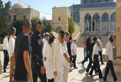 قرار صهيوني يسمح لأعضاء "الكنيست" والوزراء باقتحام "الأقصى"