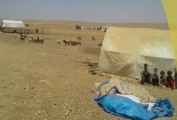 سوريا : أوضاع مأساوية لقاطني مخيمات شرقي حماة، ودعوات للمنظمات لمساعدتهم