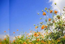 أخبار الطقس ودرجات الحرارة المتوقعة اليوم الجمعة