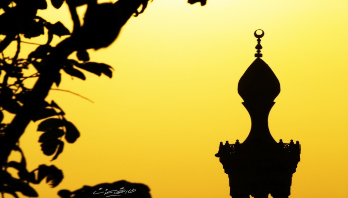 المعاهد الدينية روضة من رياض الجنة (ليست مداجن وبؤراً للإرهاب والفساد)