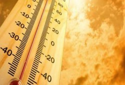 15 نصيحة يجب اتباعها خلال الصيف لتجنب درجات الحرارة المرتفعة