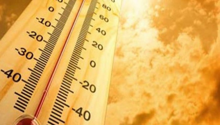 15 نصيحة يجب اتباعها خلال الصيف لتجنب درجات الحرارة المرتفعة