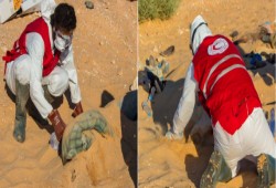 السلطات الليبية تعثر على جثامين 48 مصرياً في الصحراء