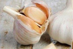 تعرف على فوائد الثوم للجسم والبشرة.. أبرزها محاربة السرطان والشيخوخة