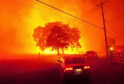 اندبندنت: الأجواء الحالية هي الأكثر حرا منذ ألفي عام