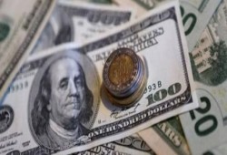 سعر الدولار فى البنوك اليوم