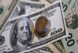 تعرف على سعر الدولار صباح الثلاثاء