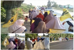 النوبارية تختتم الأسبوع الثوري بسلسلة بشرية ومسيرة مناصرة للمسجد الأقصى