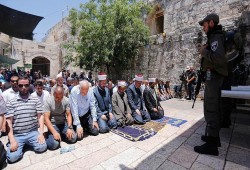 باب الأسباط.. هنا رابط المقدسيون في ميدان تحرير القدس