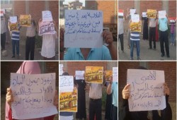 الدقهلية وقفة تضامنية في طلخا مع المرابطين في المسجد الأقصى