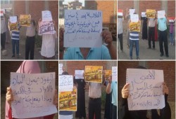 الدقهلية وقفة تضامنية في طلخا مع المرابطين في المسجد الأقصى