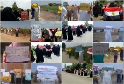 الدقهلية تنتفض دفاعاً عن المسجد الأقصى