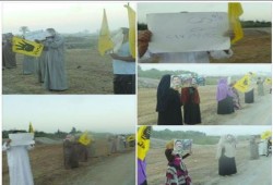 فاقوس بالشرقية تواصل مظاهرات "لبيك يا أقصى"