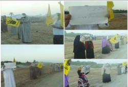 فاقوس بالشرقية تواصل مظاهرات "لبيك يا أقصى"