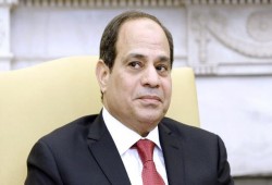 مؤيدون للسيسي: هل هذا الشخص يليق أن يكون رئيسا لمصر