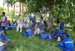 بالصور.. إضراب عمال «كيما أسوان» للمطالبة بالعلاوات