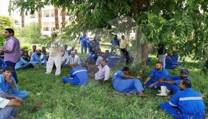 بالصور.. إضراب عمال «كيما أسوان» للمطالبة بالعلاوات