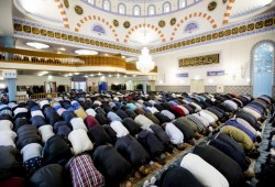 "المحكمة الهولندية" تلزم بلدية أمستردام بتأسيس مدرسة إسلامية