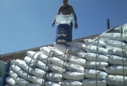 وقفة احتجاجية لعمال شركة أبو قير للأسمدة في الإسكندرية