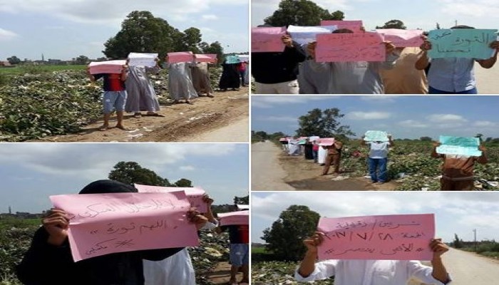 أهالي مركز شربين بالدقهليه " أوقفوا الاختفاء القسري "