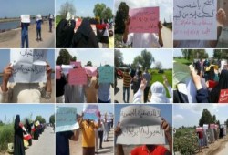 الدقهلية تصرخ " أوقفوا التصفية والقتل خارج القانون "