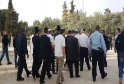 مستوطنون يقتحمون الأقصى