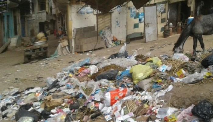 انتشار القمامة بقرى مركز دمنهور.. والأهالي "نادية عبده تتجاهل شَكونا"