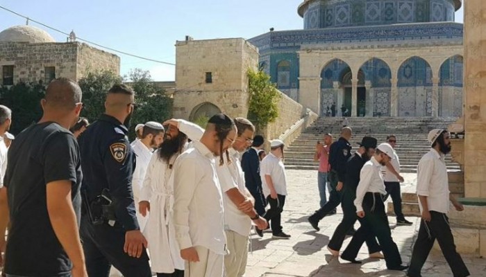 533 مستوطنًا اقتحموا "الأقصى" خلال يومين