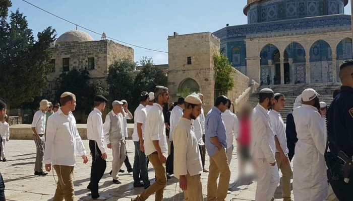 اقتحامات اليهود للأقصى تسجل ارتفاعا قياسيا