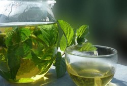 النعناع يهدئ الأعصاب