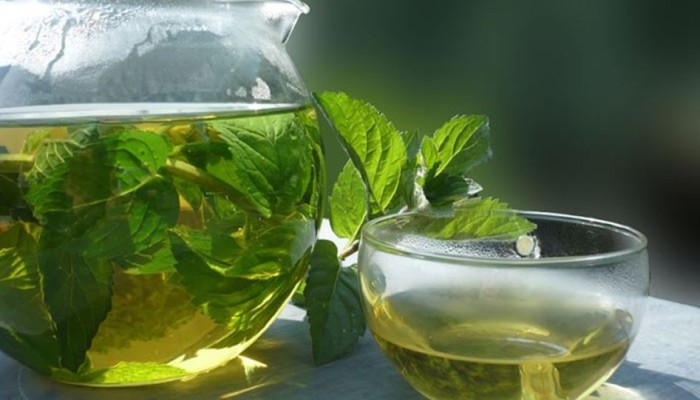 النعناع يهدئ الأعصاب