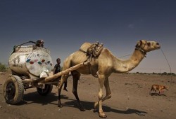 الأمم المتحدة إن 70 بالمائة من سكان اليمن بحاجة إلى المساعدة الإنسانية