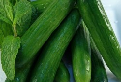 الخيار يخلص الجسم من السموم