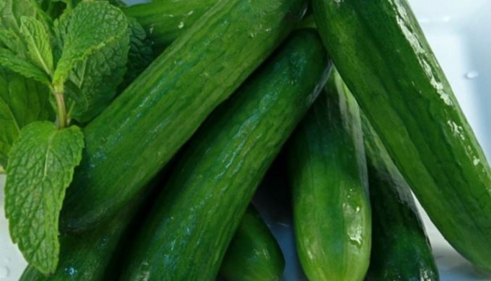 الخيار يخلص الجسم من السموم