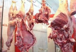 الركود يضرب سوق الأضاحي بسبب ارتفاع الأسعار في الاسكندرية