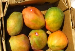 فيتامين "بي 3" قد يقي من سرطان الجلد