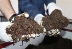 تركي حذروه من العمل بـ "الأوساخ".. فأصبح رجل أعمال!