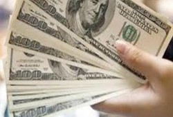 استقرار سعر الدولار في التعاملات المسائية