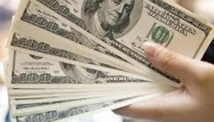 استقرار سعر الدولار في التعاملات المسائية