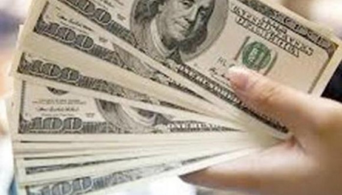 استقرار سعر الدولار في التعاملات المسائية