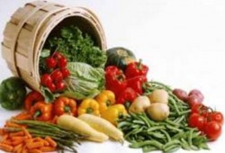 تحذير من النظام الغذائي النباتي أثناء الرضاعة