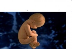 ما الذي يعرض جنينكِ للتشوهات والعيوب الخلقية؟