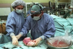 صحفي ألماني يكشف تورط مستشفيات شهيرة بـ«تجارة الأعضاء» في مصر