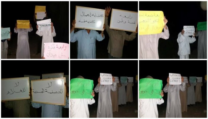 فعاليات ليلية مناهضة للانقلاب لثوار الدقهلية