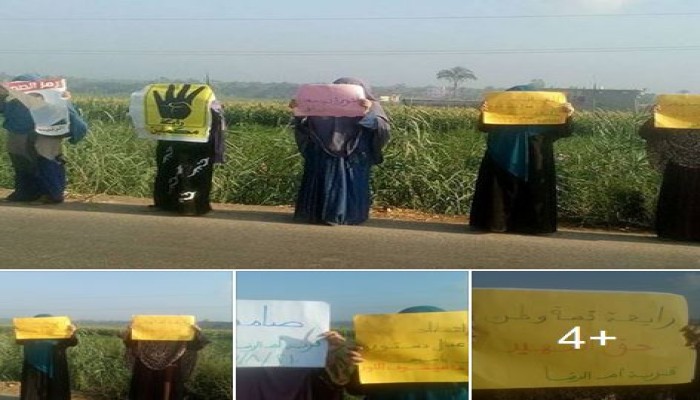 دمياط :  سلسلة بشرية لأهالى شهداء ومعتقلى قرية ام الرضا